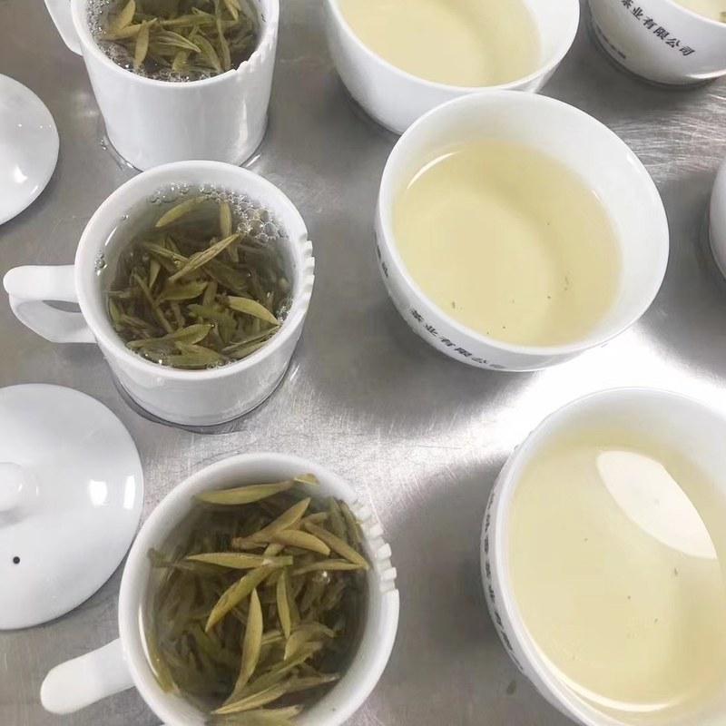栖品荒野白毫银针