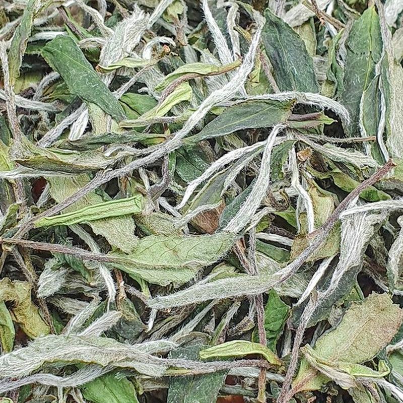 福鼎荒野白牡丹 高山散茶 竹匾晾晒 细节图2